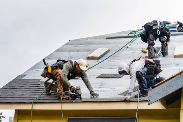 Professional Roofing technician working in Manilla, IN
